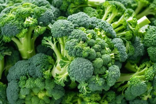 青翠欲滴的健康守护者 西蓝花的新鲜之美